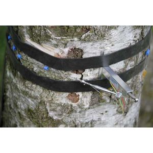 Dendrometer Modell DC-2