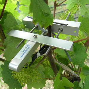 Dendrometer Modell DD-S