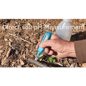 pH-Wert Taschenmessgerät mit ISFET Sensor Modell